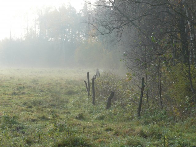 Polowania 26.10.08